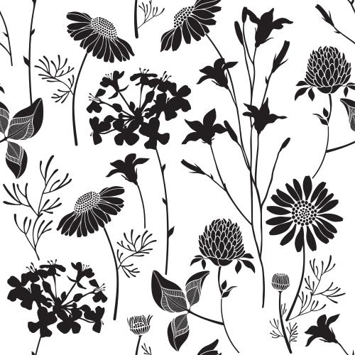 Klee. Vektor schwarze Silhouetten Feldblumen auf weißem