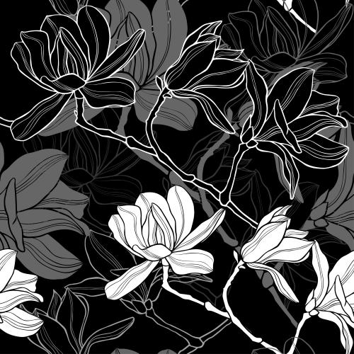Vektorgrafik magnolien, silhouetten und konturen auf schwarzem