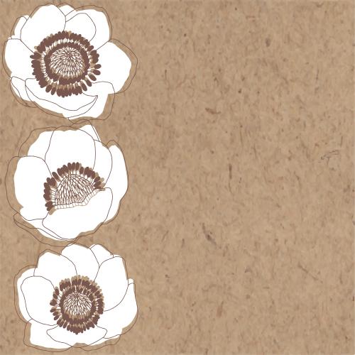 Anemone. Vektor Anemone, Platz Für Text Auf Kraft
