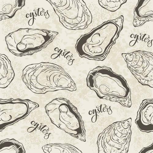 Auster. Vektor Austern, Aufschrift "Oysters" auf texturiertem hellen