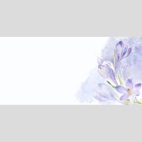 Rasterbild aquarellkrokusse auf lilaem aquarellfragment, platz für text auf weißem