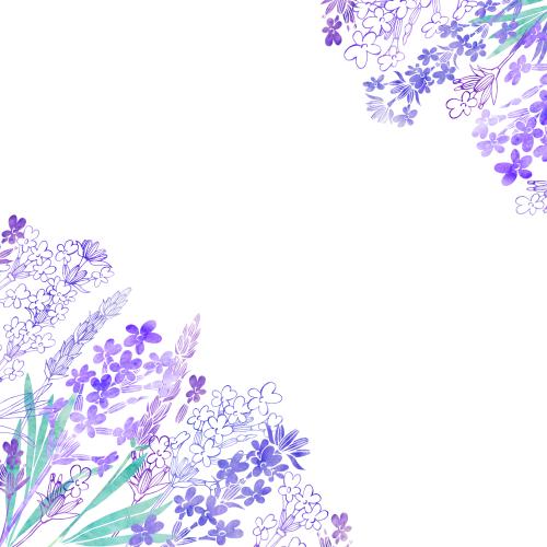 Rasterbild aquarelllavendel, platz für text, eckige komposition auf weiß