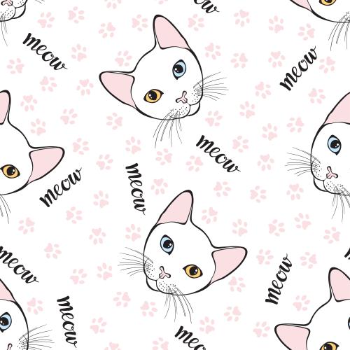 Khao manee. Vektor liebevolle Gesichter von Kätzchen der Rasse Kao-Mani, Abdrücke der Pfoten und Schriftzüge "meow" auf weißem