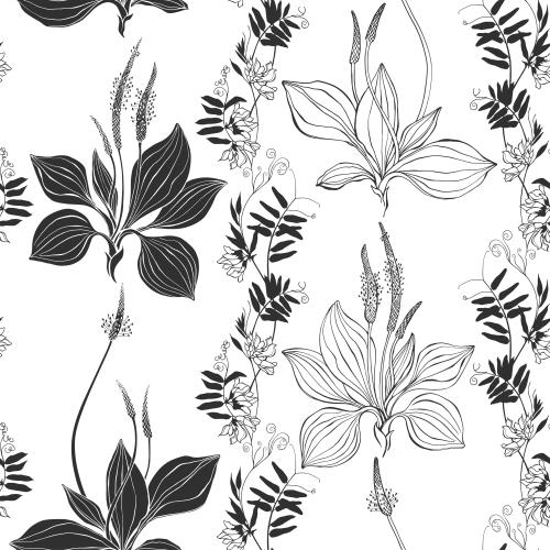 Vektorgrafik feldblumen und gänseblümchen auf weißem
