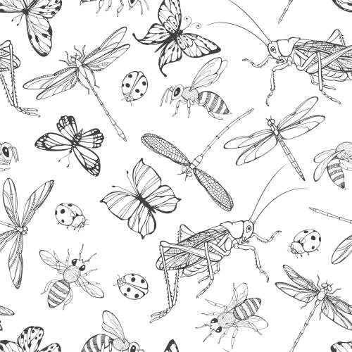 Insekt. Vektor Schmetterlinge, Libellen, Marienkäfer, Grashüpfer und Bienen auf weißem