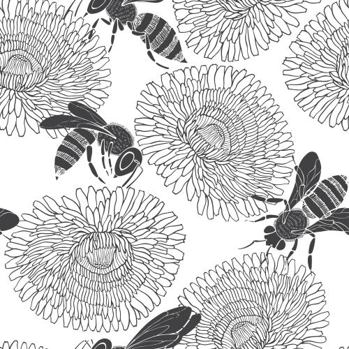 Löwenzahn. Vektor Monochrom Bienen und Löwenzahn auf weißem