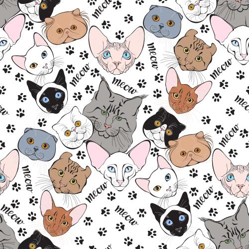 Vektorgrafik mäulchen von katzen verschiedener rassen, spuren von pfoten, aufschrift meow auf weißem