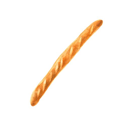 Französische. Vektor Baguette, Aquarell auf weissm