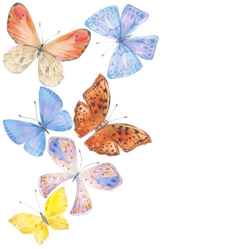 Rasterbild aquarellbutterflies, platz für text auf weiβem