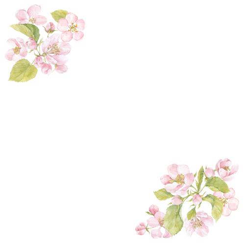 Rasterbild aquarellblumen und apfelblätter, platz für text auf weißem, eckkomposition