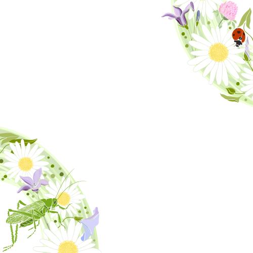 Sommer. Vektor Blumen, Grashüpfer, Marienkäfer, Platz für Text auf weißem, Eckkomposition