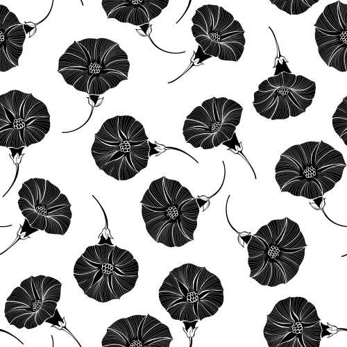 Ackerwinde. Vektor blumen des Vinyons, schwarze Silhouetten auf weißem