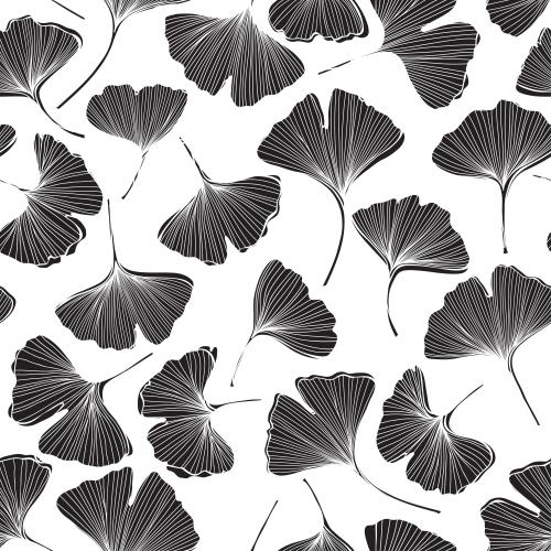 Ginkgo biloba. Vektor Ginkgo biloba, Blätter auf weissm
