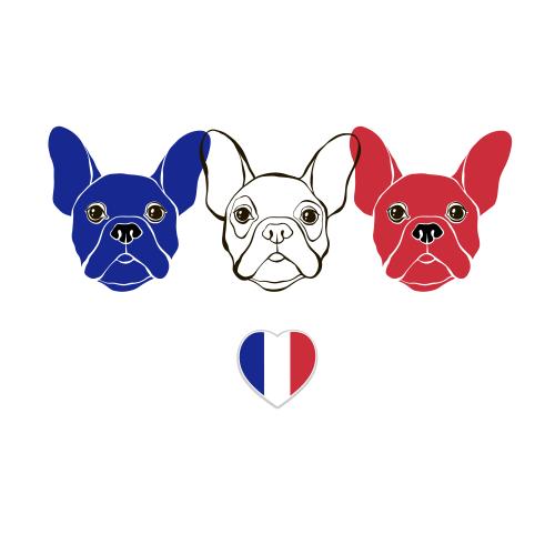 Französische. Vektor Süße Gesichter französischer Bulldoggen in den Farben der französischen Flagge, französischer Fahne in Form eines Herzens auf weißem