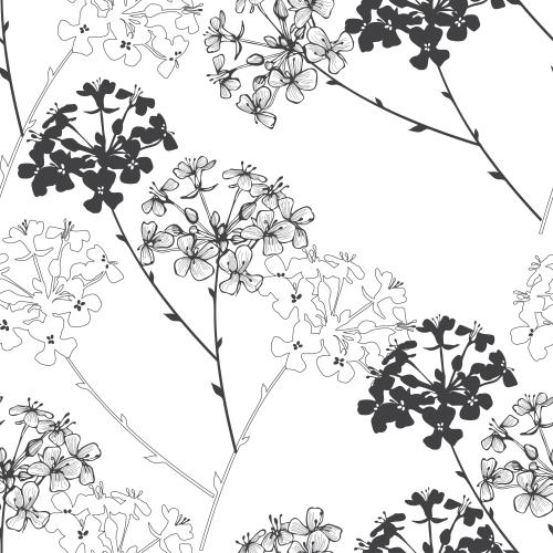 Vektorgrafik blumen, schwarze konturen und silhouetten auf weißem