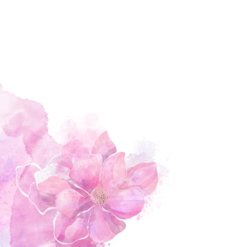 Rasterbild magnolie auf rosa wasserfarbe, platz für text auf weißem, eckkomposition