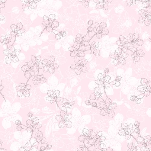 Knospe. Vektor Kirschblüten auf rosa