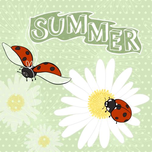 Marienkäfer. Vektor cartoonartige Marienkäfer, Schriftzug Summer auf grünem kariertem Hintergrund