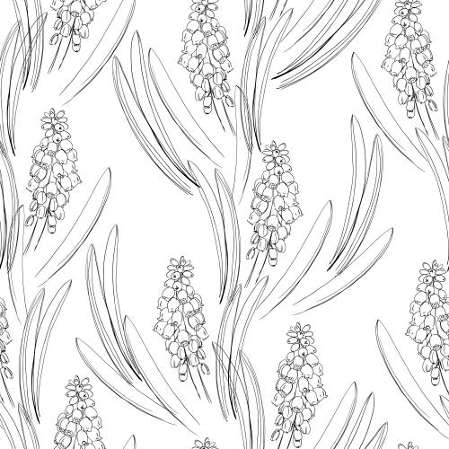 Traubenhyazinthe. Vektor Muscari Blumen Blätter auf weißem