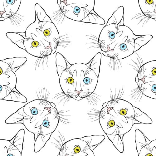 Vektorgrafik süße katzenmienen mit farbigen augen auf weißem