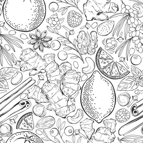 Vektorgrafik vitaminhaltige früchte, beeren und nüsse: zitronen, orangen, ingwer, zimt, kranbeeren, moltebeeren, himbeeren, sanddorn, mandeln, walnüsse, haselnüsse, cashewnüsse auf weißem