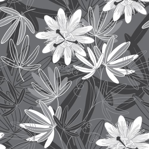 Passionsblume. Vektor Passionsblume, monochromen Blumen und Blätter auf grauem