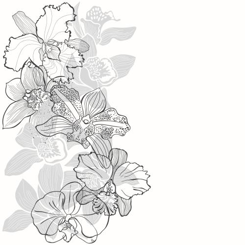 Vektorgrafik orchideen, konturen und silhouetten, platz für text auf weißem
