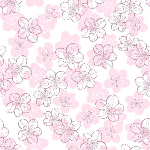 Kirschblüte. Vektor Sakura farbige Konturen und Silhouetten auf weissm