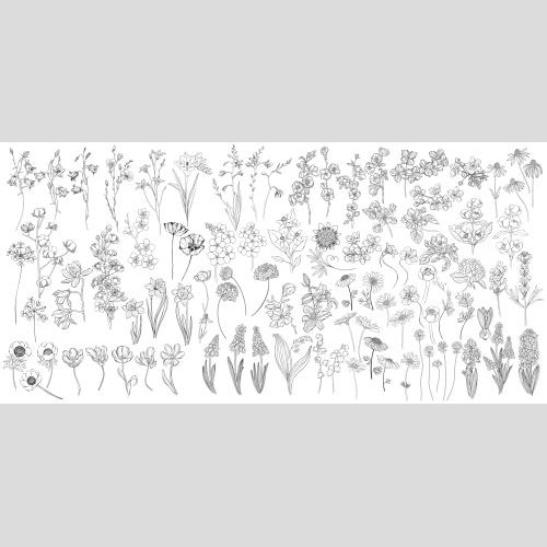 Vektorgrafik sammlung blumen auf weißem