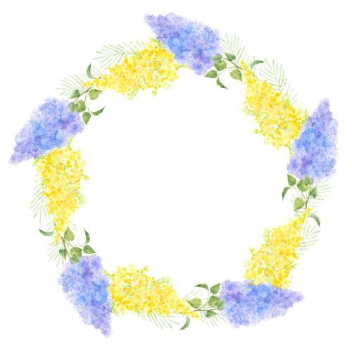 Flieder. Vektor aquarelllilie und Mimose, runde Rahmen auf weißem