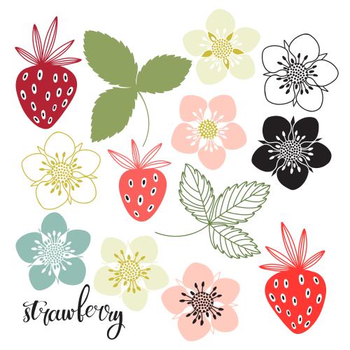 Erdbeere. Vektor Erdbeere, Blumen, Blätter und Beeren auf weißem