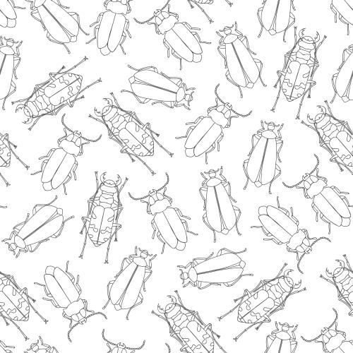 Vektorgrafik konturen verschiedener käfer auf weißem