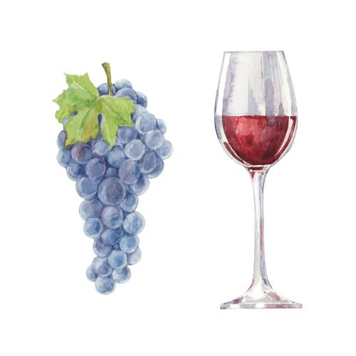 Gläser. Vektor trauben und ein Glas mit rotem Wein auf dem weißen