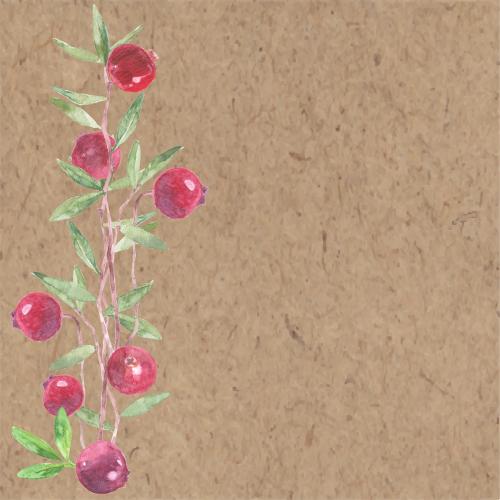 Kranbeere. Vektor aquarellkranbeerzweige mit Beeren Textplatz auf Kraft