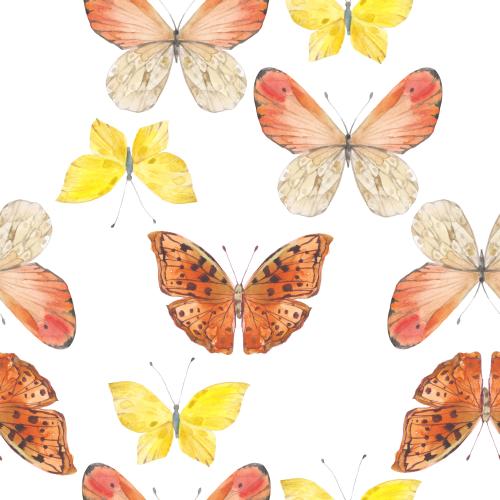 Rasterbild aquarellbutterflies auf weissem