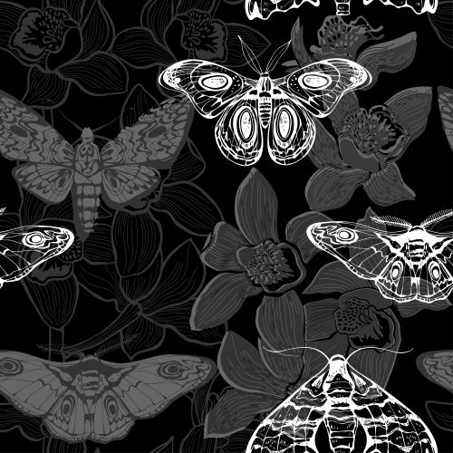 Vektorgrafik nächtliche schmetterlinge, orchideen auf schwarzem