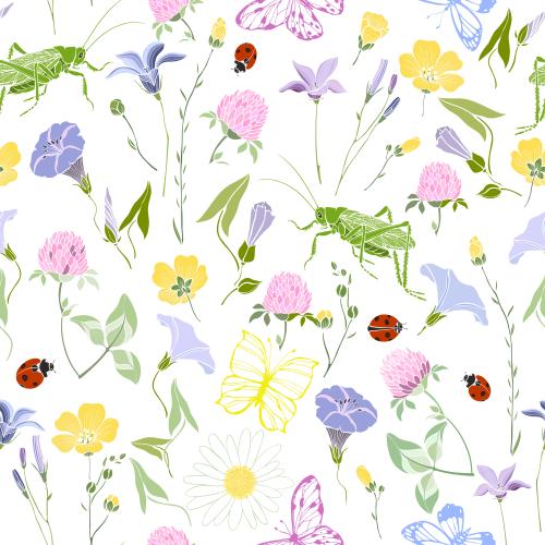 Klee. Vektor wiesenblumen Heuschrecken Schmetterlinge Marienkäfer auf weißem