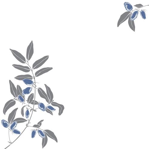 Heckenkirsche. Vektor Jasmin, Zweige mit Beeren, Platz für Text auf weiß, Eckkomposition