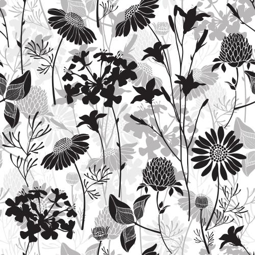 Klee. Vektor schwarze und graue Silhouetten Feldblumen auf weißem