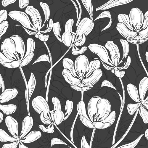Tulpe. Vektor Weiße Silhouetten und graue Konturen von Tulpen auf schwarzem