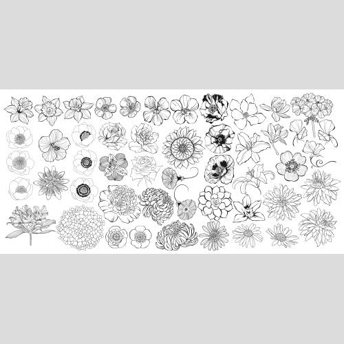 Vektorgrafik sammlung von blumen auf weißem
