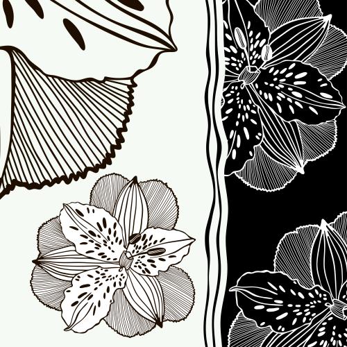 Vektorgrafik schwarze und weiße irisen