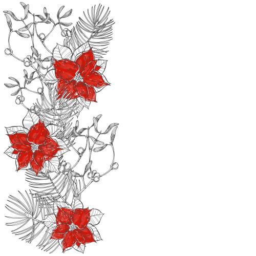 Vektorgrafik konifere zweige, mistel und poinsettienblüten, platz für text auf weißem