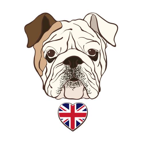 Flagge. Vektor Kopf der englischen Bulldogge und Flagge Großbritanniens in Form eines Herzens