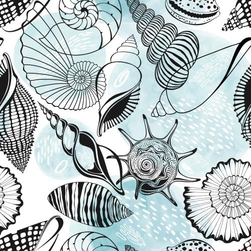 Nautilus. Vektor Muscheln, Nautili, dekorative Aquarellfragmente auf weißem