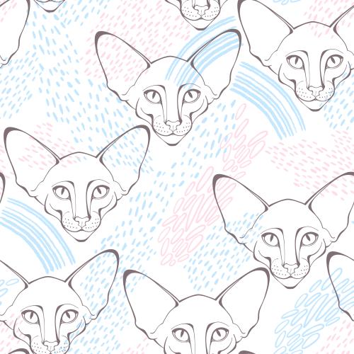 Oriental katze. Vektor Oriental Katze, hübsche Gesichter, dekorative Fragmente auf weißem
