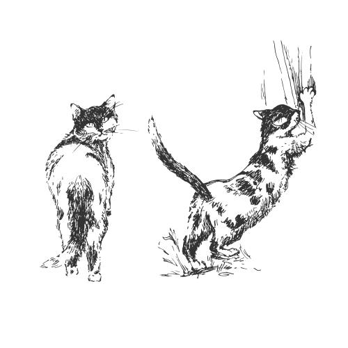 Vektorgrafik zwei kätzchen, sketch auf weiß