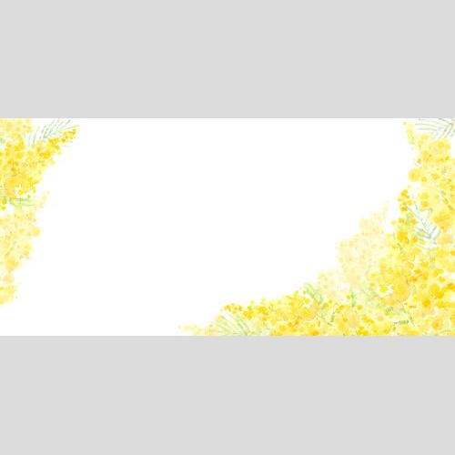 Rasterbild aquarellmimose, platz für text auf weißem