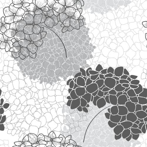 Hortensie. Vektor Hydrangea, Silhouetten und Konturen von Blumen auf weißem