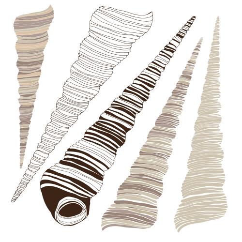 Vektorgrafik muscheln, varianten auf weißem